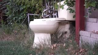 Random acts of poopness #SGVNEWS #SGVNEWSFIRST