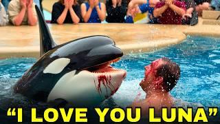 The Horrifying Last Moments Of Orca Trainer Sam Collins