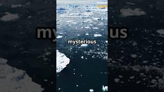 Mind-Blowing Discoveries Under the Ice! II Unique Studio II