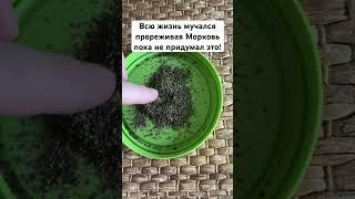 Всю жизнь мучался прореживая Морковь пока не придумал это! #морковь #сад #огород