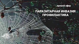 Паразиты. Симптомы. Профилактика. Антипаразитарные программы