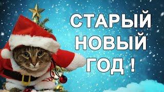 Со Старым Новым Годом! Позитивное поздравление на старый новый год!