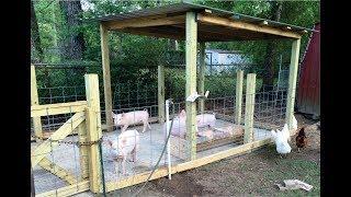 How to build a pig pen design - Organic Hogs