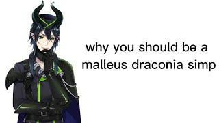 why you should be a malleus draconia simp