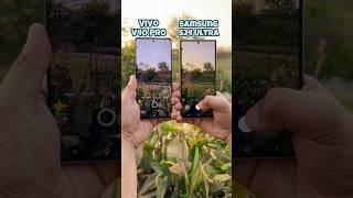 Vivo V40 Pro vs Samsung S24 Ultra Zoom Test #vivov40pro #s24ultra #trending #shotrs