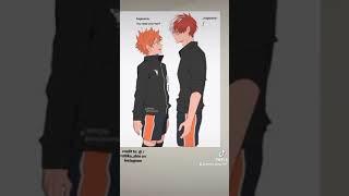 Shoto Todoroki and Shoyo Hinata (ft Kageyamas dyed hair)