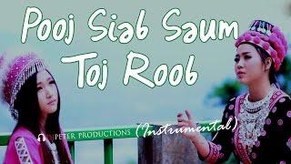 See Yaj - Poob Siab Saum Toj Roob (DJPeter Instrumental)