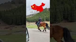 5 Плюсов Жизни в Доме На Колесах!