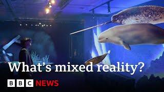 What a 'mixed reality' experience tells us about the future of the natural world | BBC News