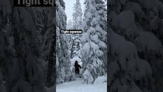 Creative ski line in the woods #skiing #backcountryskiing