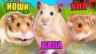 МЫ СТАЛИ ХОМЯКАМИ В РОБЛОКСЕ! Roblox Hamster Simulator