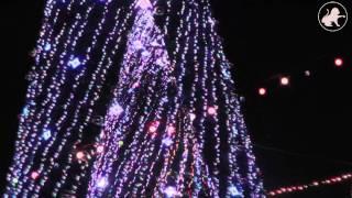 Открытие Главной Елки Ульяновска. Видео УльяновскСити