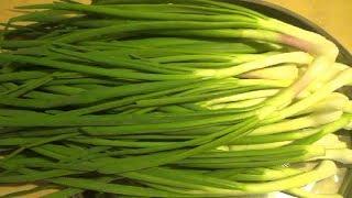 Как заморозить зеленый лук на зиму / How to freeze green onions for the winter