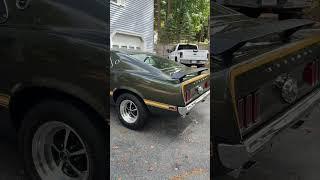 I LOVE this sound | Mustang Mach 1 Exhaust