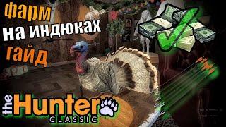 Гайд По Фарму На Индюках Из Засидки The Hunter Classic