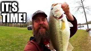 How to Catch Big Bass From the Bank! Fish With a Texas Rig Right NOW!