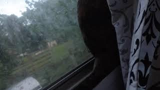yardstick in the window