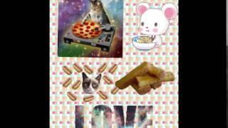 DJ Pizza Cat!