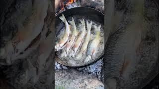 Fishing. Fry fish outdoors/Рыбалка. Жарим рыбу на природе#shorts #рыбалка#рыба#рекомендации