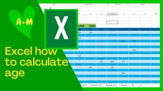 Excel calculate age