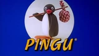 Pingu