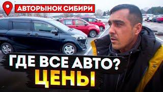 АВТОРЫНОК СИБИРИ И ЦЕНЫ ПОД ЗАКАЗ ЧТО ТАМ ПРОИСХОДИТ