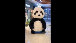 Cute panda  #shorts #funny #cute #panda #video