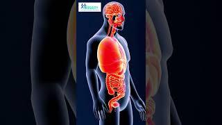 Burn Fat All Day: The Power of an Active Metabolism #health #facts#body #diet #weightloss #food