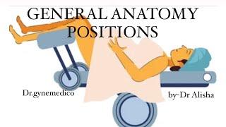 General anatomy (positions)