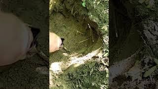 Treasure Hunt * A Viking Sword found * #lucky #success #metaldetecting
