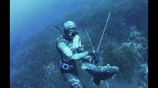 Pesca Submarina en Mallorca VI