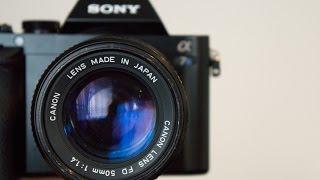 Manual 35mm Lenses with Mirrorless Cameras