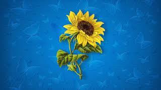 (FREE) ТИМА БЕЛОРУССКИХ x VERBEE x МЭВЛ Type Beat "Sunflower" Pop/Dance Free Instrumental 2019