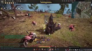 Black Desert Online - Succession vs Awakening (Warrior)