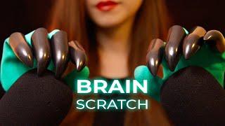 ASMR S E N S I T I V E Brain Scratch (No Talking)
