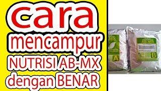 CARA MENCAMPUR  NUTRISI AB-MIX HIDROPONIK DENGAN BENAR #naikohydroponik