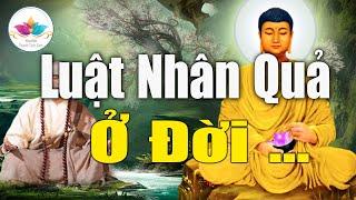 Nhân Quả Nghiệp Báo Luân Hồi "Lời Phật Dạy Về Nghiệp Báo" Không Nên Xem Nhẹ #Mới