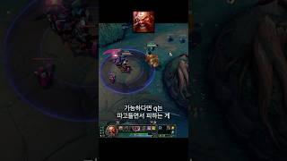 변수의 왕