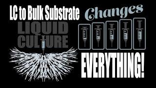 Liquid Culture: Inoculation of Bulk Substrate is Possible!