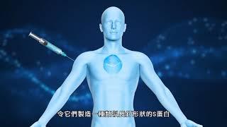 新冠疫苗「Fact Check」系列第三集：「信使核糖核酸」新冠疫苗