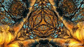 Celtic meditation music 432 Hz  Sacred Geometry visuals