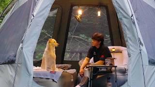 Camping with My Dog in a Quiet Forest  ASMR Bird Sounds and Peaceful Moments