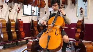 Cellos for the aspiring and intermediate player