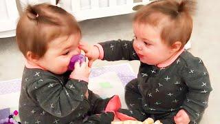 Funniest Twin Babies Compilation Ever || Cool Peachy