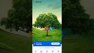 plant more!!! #farming #investment #viral #fyp #gforest