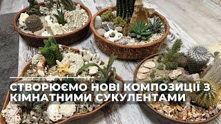 Створюємо нові композиції з кімнатними сукулентами