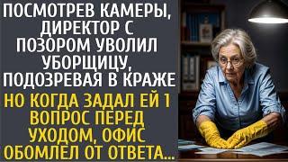 Посмотрев камеры, директор с позором уволил уборщицу, подозревая в краже… А когда задал ей 1 вопрос…