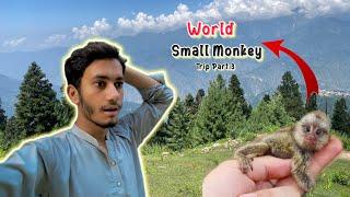 World ka  sb se chota Monkey   || Anas Bhatti Vlogs