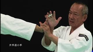 The secret  okuri gote techniques, Shorinji Kempo. Sensei Arai Tsunehiro. 少林寺拳法. 武道少林寺拳法