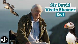 Filming Wild Isles: Sir David Attenborough Visits Skomer Island Ep. 1